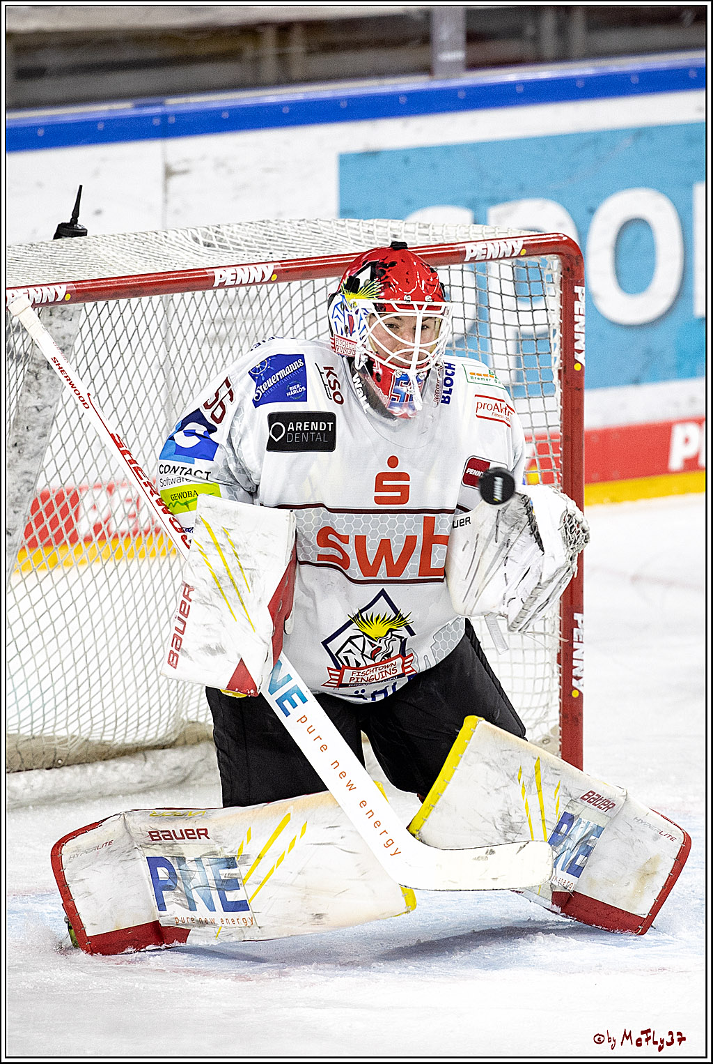 PENNY DEL;  Koelner Haie - Fischtown Pinguins Bremerhaven; Koeln, 03.01.2022